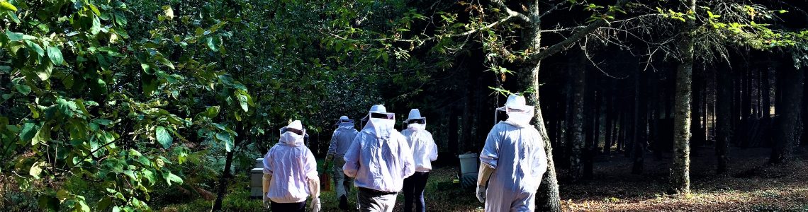 Πολωνοί & Γερμανοί trekking specialists μετατρέπονται σε Έλληνες μελισσοκόμους!