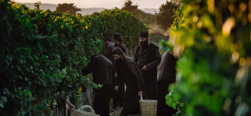 Traditional viticulture and winemaking of Eastern Halkidiki